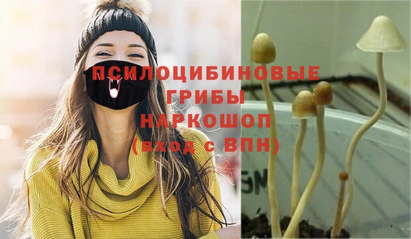 спиды Баксан