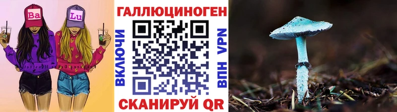 Псилоцибиновые грибы MAGIC MUSHROOMS блэк спрут зеркало дарк нет клад Суворов